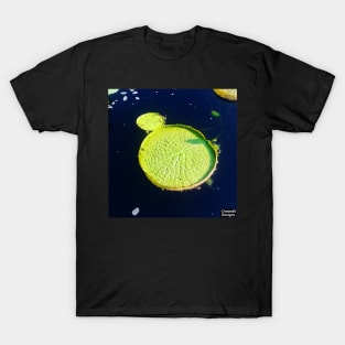 Lily Pad T-Shirt